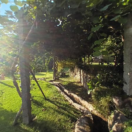 Quinta Da Chanca 파레드스 드 코라 외부 사진