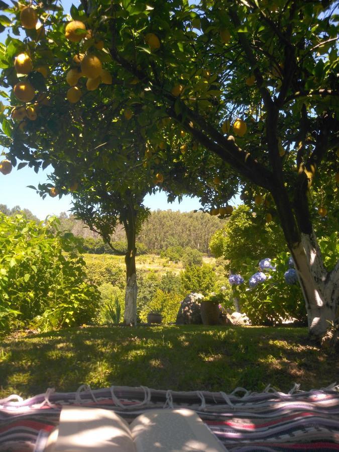 Quinta Da Chanca 파레드스 드 코라 외부 사진
