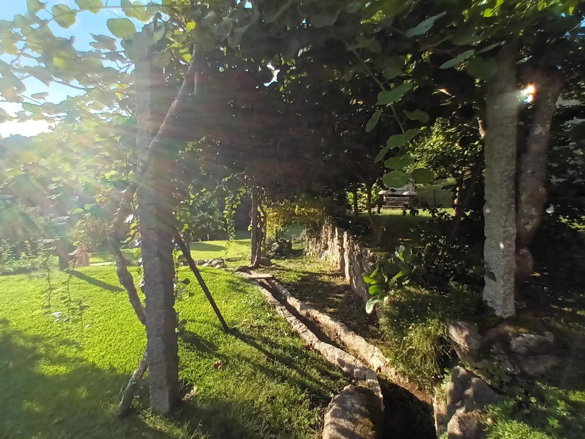 Quinta Da Chanca 파레드스 드 코라 외부 사진
