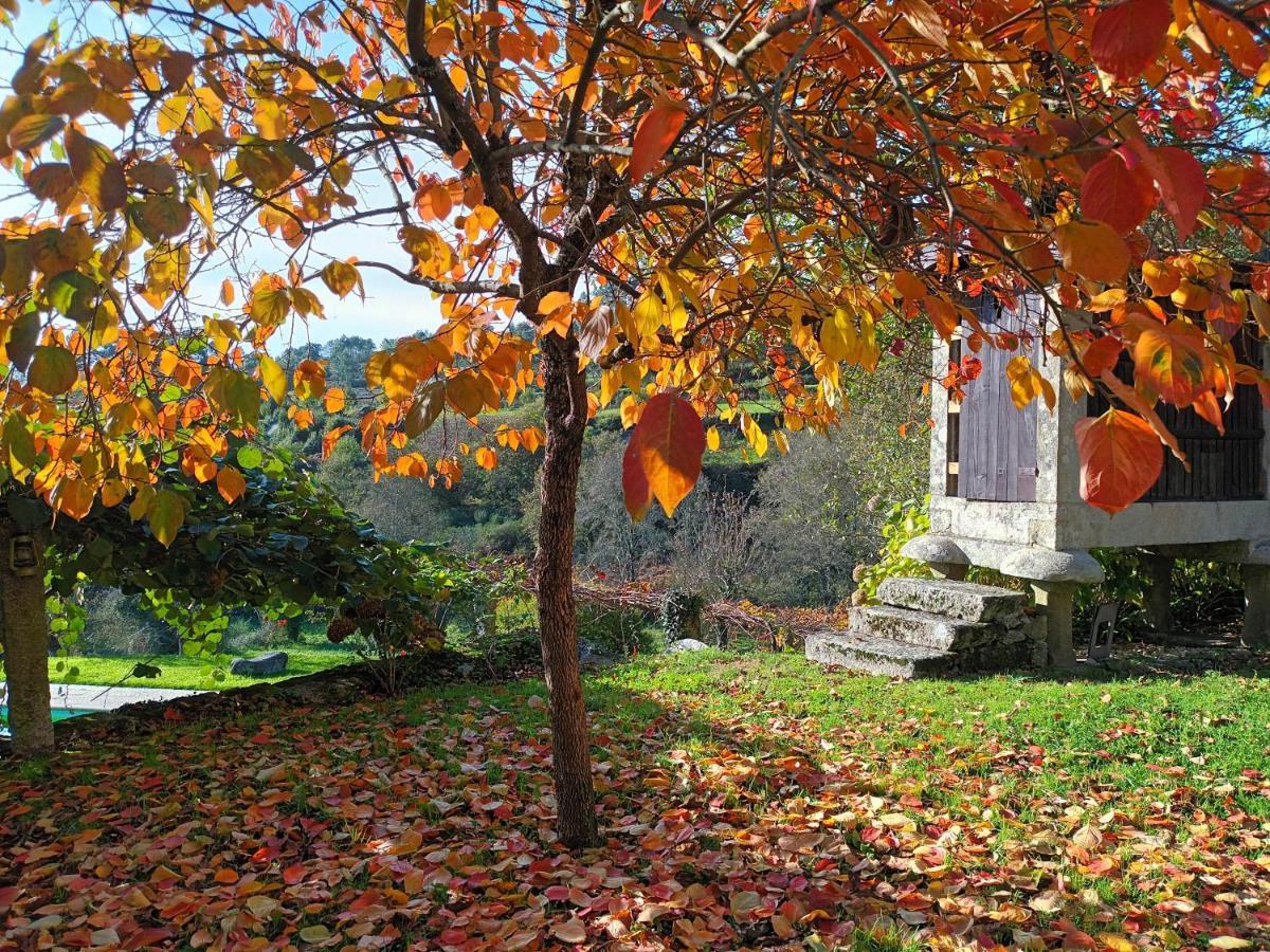 Quinta Da Chanca 파레드스 드 코라 외부 사진