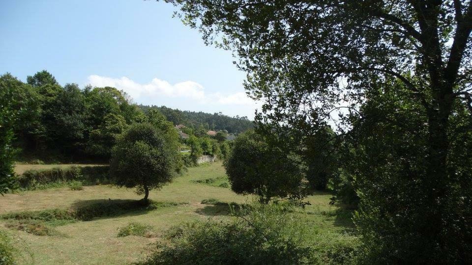 Quinta Da Chanca 파레드스 드 코라 외부 사진